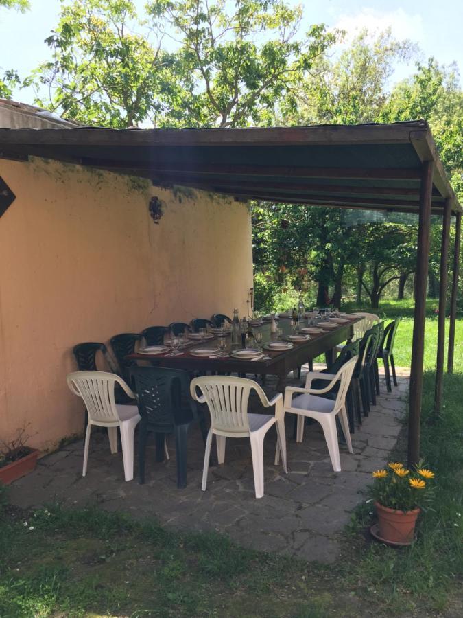 Agriturismo Bethsaid Fauglia Dış mekan fotoğraf