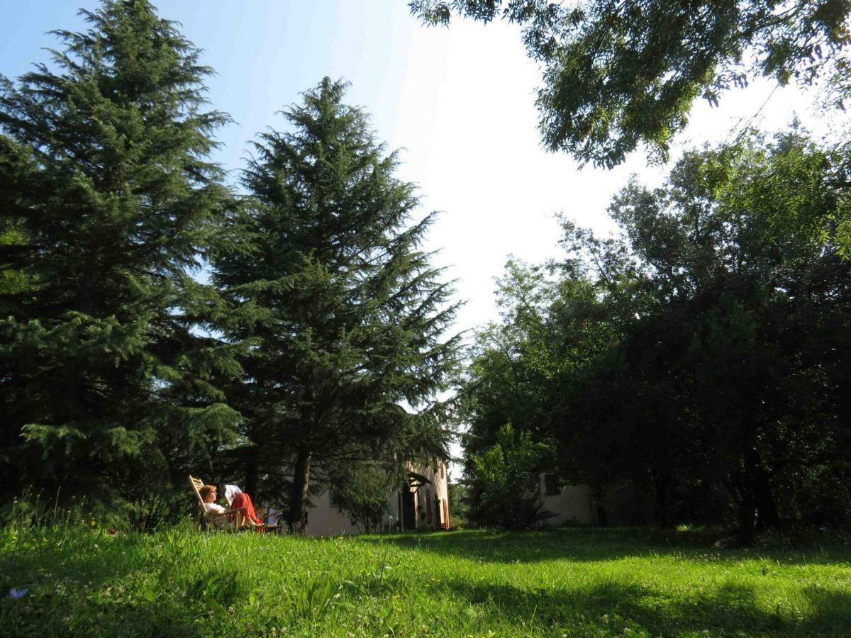 Agriturismo Bethsaid Fauglia Dış mekan fotoğraf