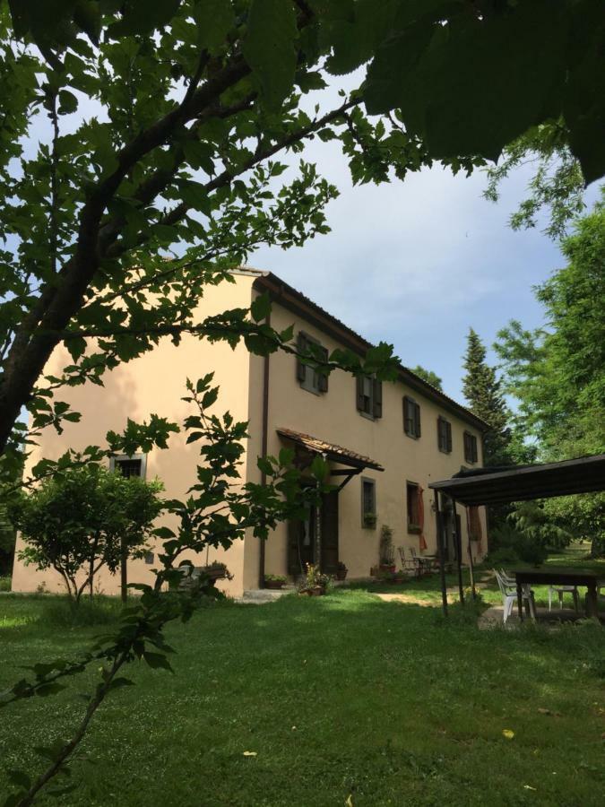 Agriturismo Bethsaid Fauglia Dış mekan fotoğraf