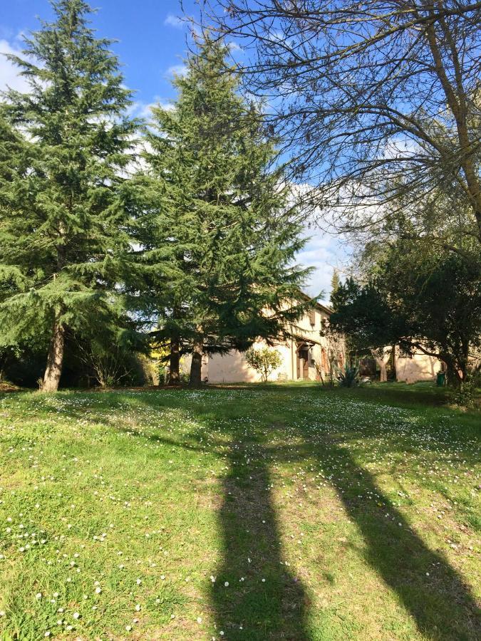 Agriturismo Bethsaid Fauglia Dış mekan fotoğraf