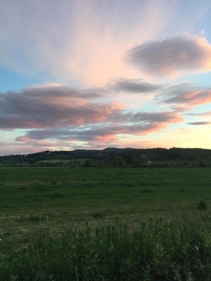 Agriturismo Bethsaid Fauglia Dış mekan fotoğraf