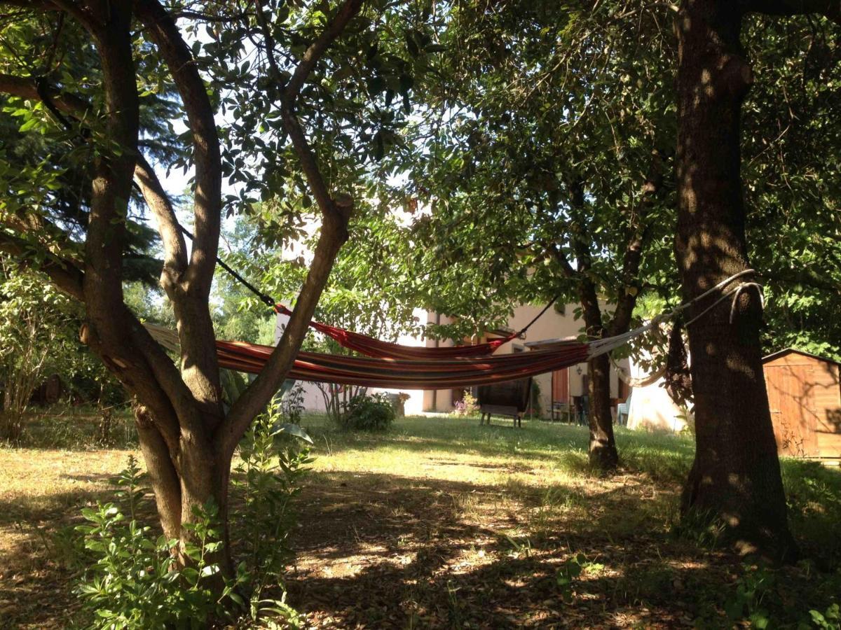 Agriturismo Bethsaid Fauglia Dış mekan fotoğraf